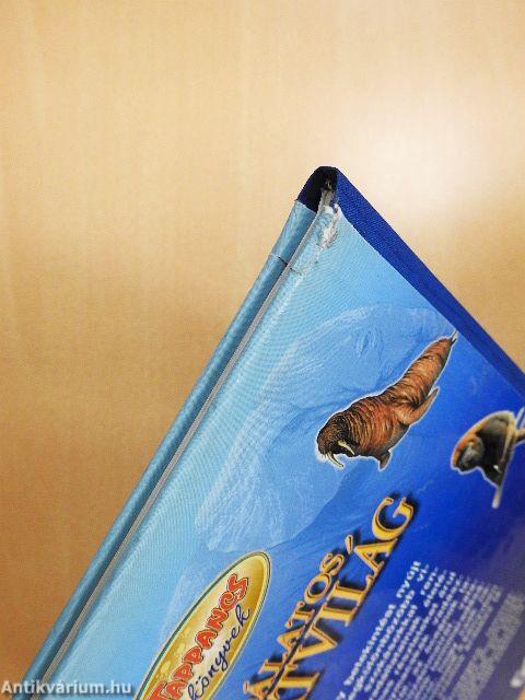 Csodálatos állatvilág