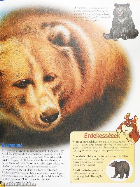 Csodálatos állatvilág