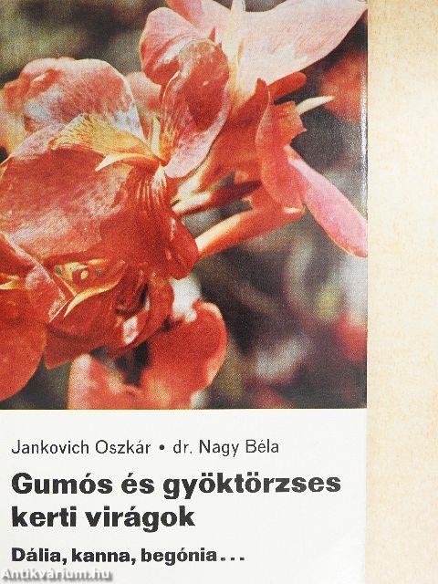 Gumós és gyöktörzses kerti virágok