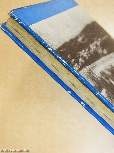 A Titanic pusztulása