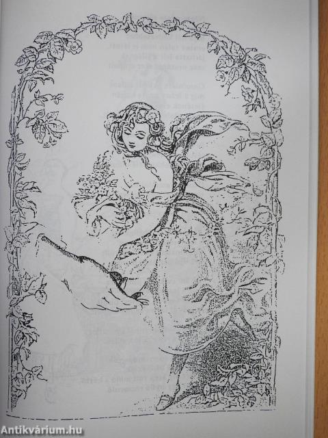 A hóhértörvények börtönországában (dedikált példány)