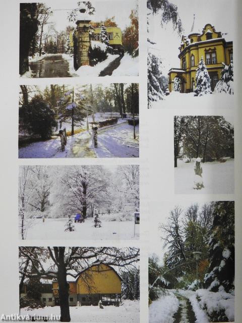 Emlékkönyv - Mosdós (dedikált példány)