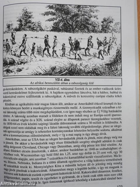 Ábel a rengeteg országban (dedikált példány)