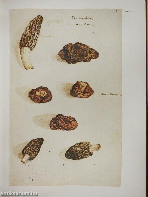 Fungorum in Pannoniis observatorum brevis historia et Codex Clusii