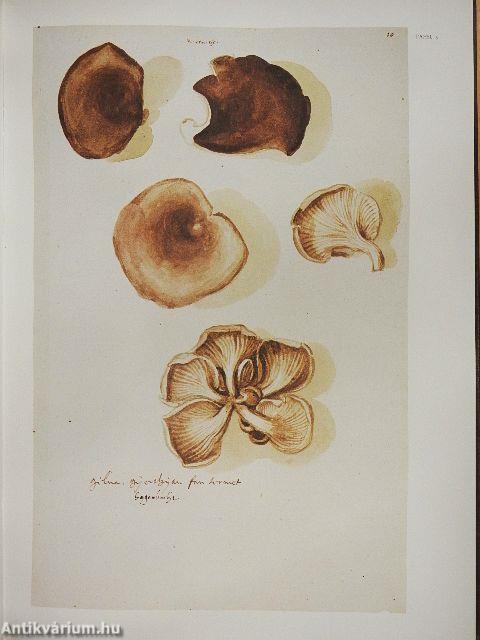 Fungorum in Pannoniis observatorum brevis historia et Codex Clusii