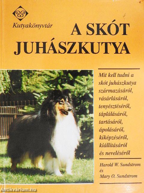 A skót juhászkutya