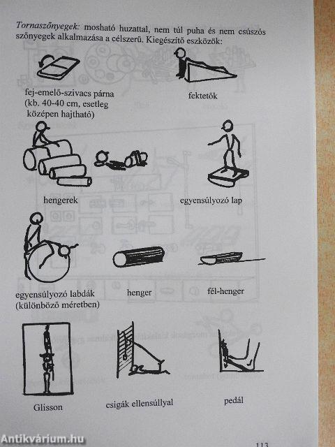 Bevezetés a mozgásfogyatékosok pedagógiájába