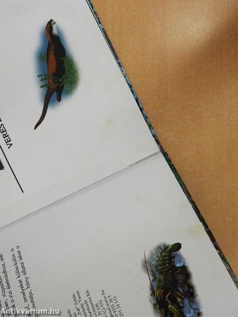 Folyók, tavak élővilága