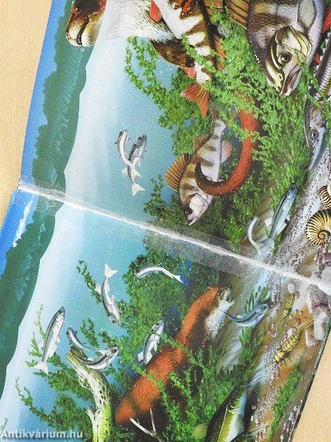 Folyók, tavak élővilága