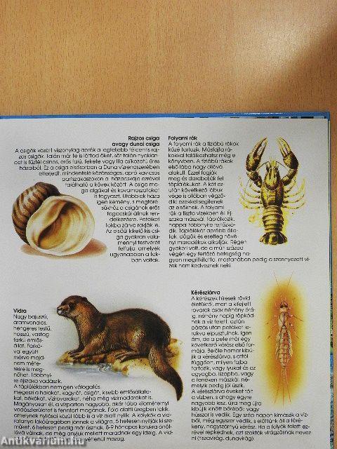 Folyók, tavak élővilága