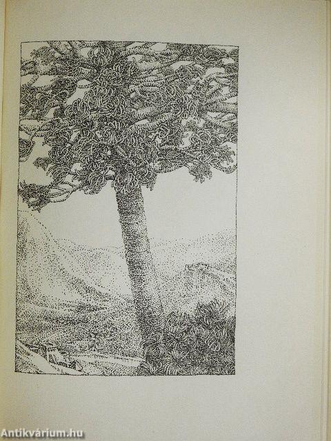 Gyermekkorom emlékei