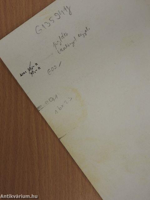 Cégbírósági eljárás