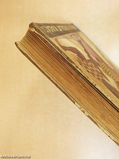 Jelky András bajai fiú rendkivüli kalandjai ötödfél világrészben