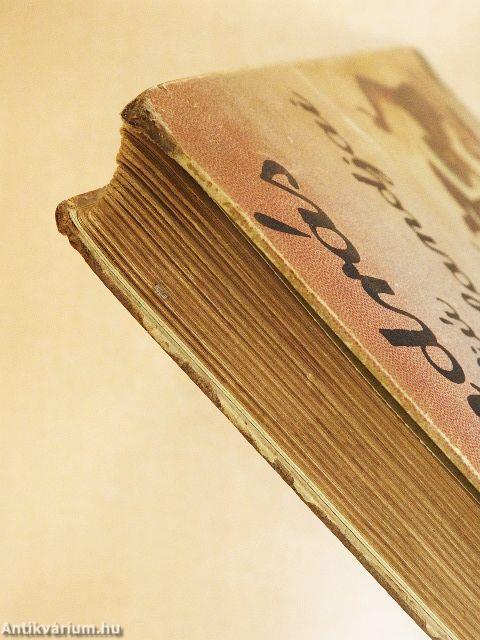 Jelky András bajai fiú rendkivüli kalandjai ötödfél világrészben