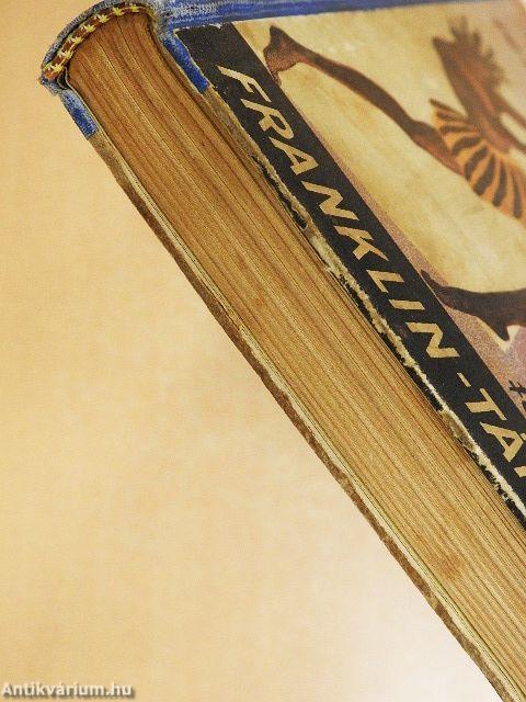 Jelky András bajai fiú rendkivüli kalandjai ötödfél világrészben