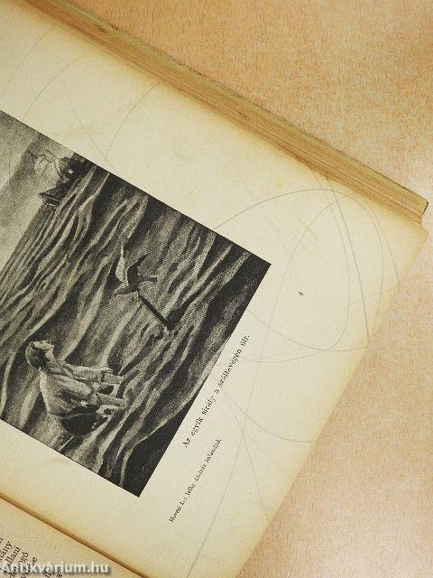 Jelky András bajai fiú rendkivüli kalandjai ötödfél világrészben