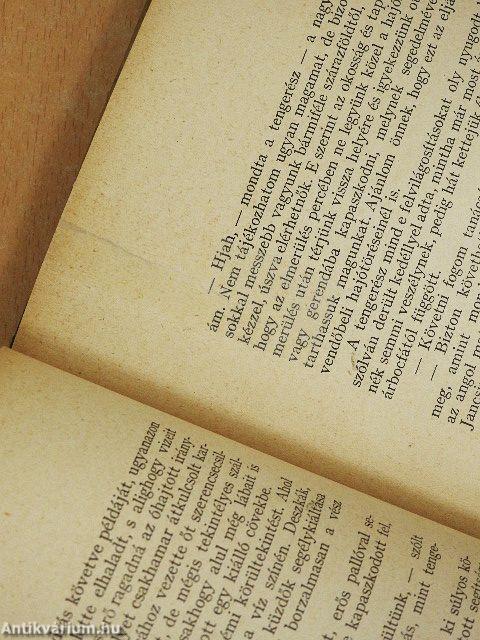 Jelky András bajai fiú rendkivüli kalandjai ötödfél világrészben