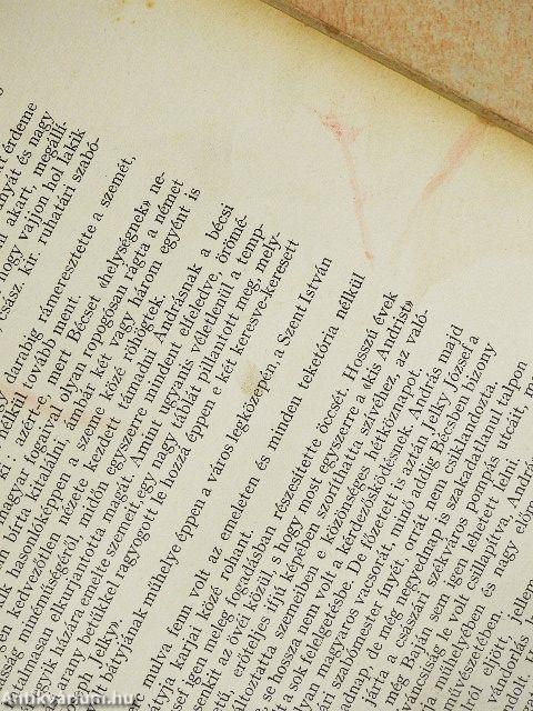 Jelky András bajai fiú rendkivüli kalandjai ötödfél világrészben