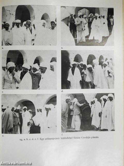 Fények a Szaharában