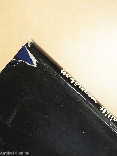 A halálraítélt megszökött