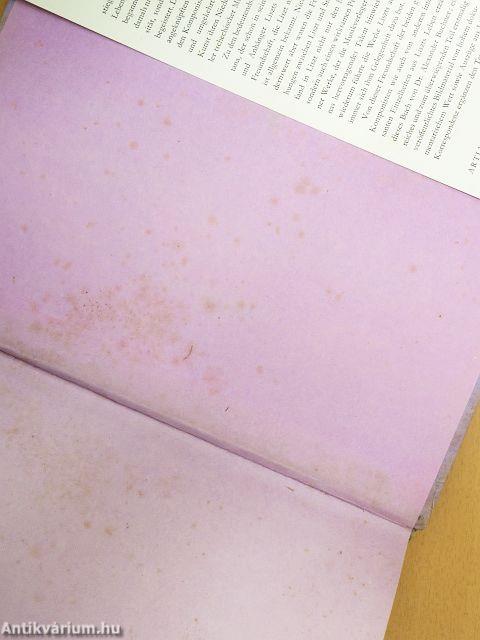 Franz Liszt in Böhmen