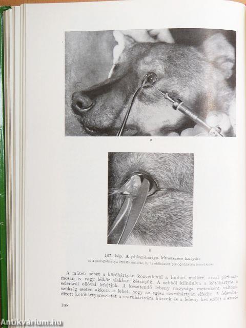 Állatorvosi sebészeti műtéttan