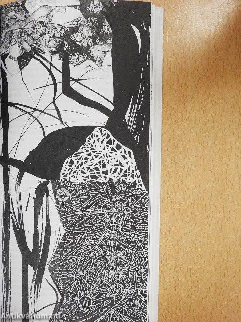 Egy barbár Indiában