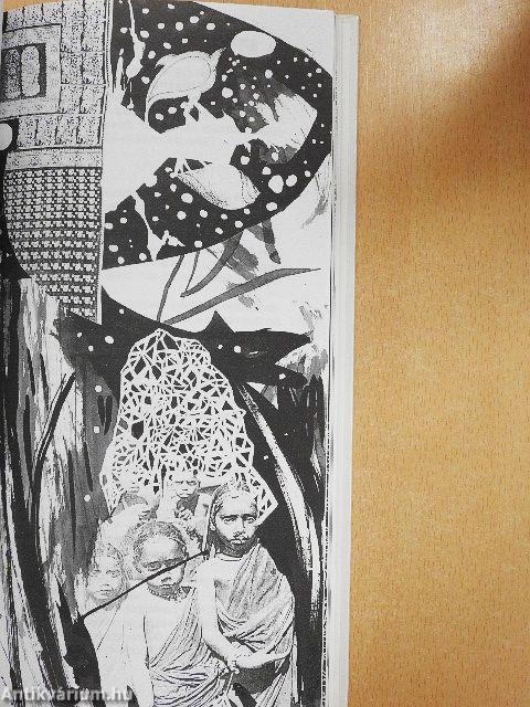 Egy barbár Indiában