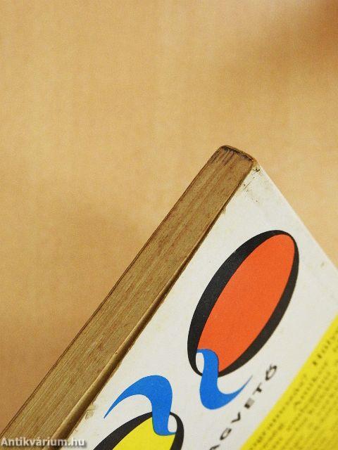 Azon túl ott a tág világ