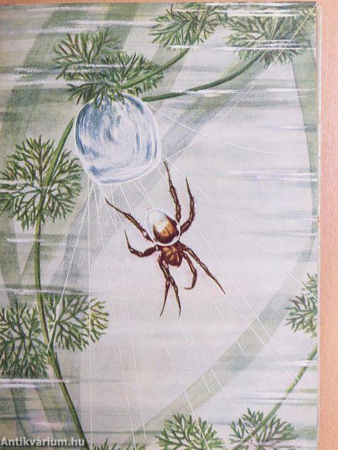 Aquarien und Terrarien Jahrbuch 1956