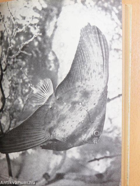 Aquarien und Terrarien Jahrbuch 1956