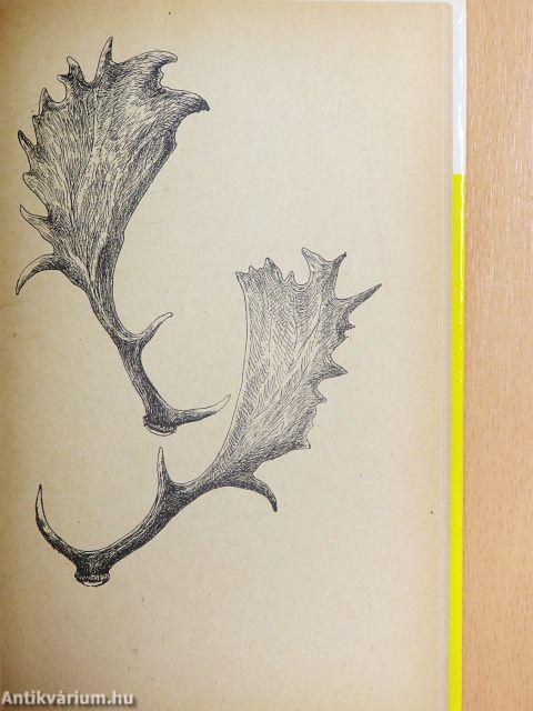 Ansprechen des Damwildes