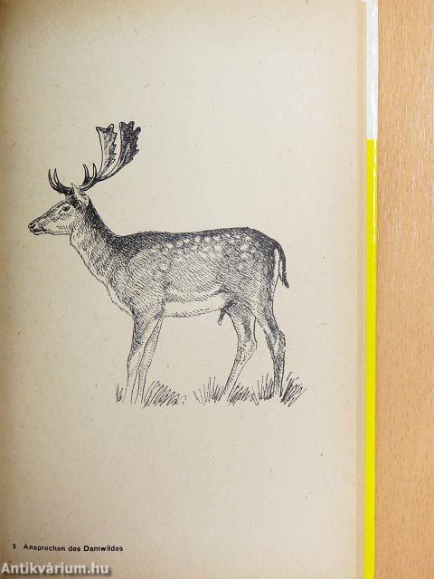 Ansprechen des Damwildes