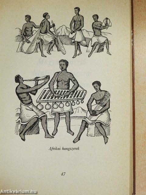 Magyar László afrikai utazásai