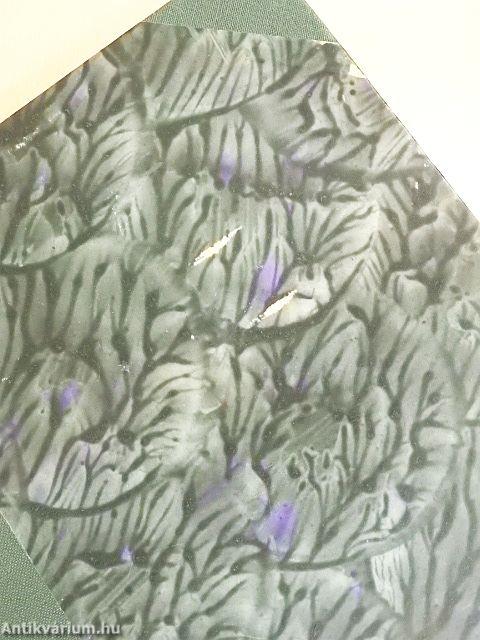 Magyar Cserkész 1925. január-december