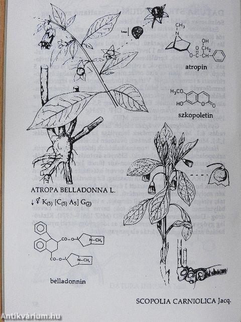 Gyógynövényismeret I-III.