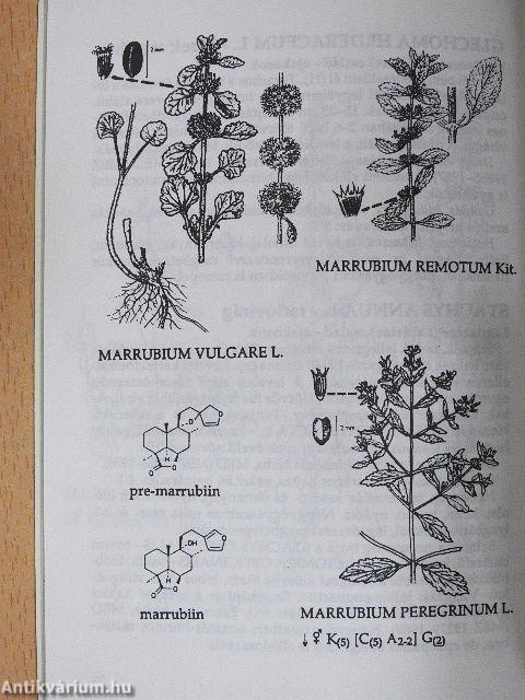Gyógynövényismeret I-III.