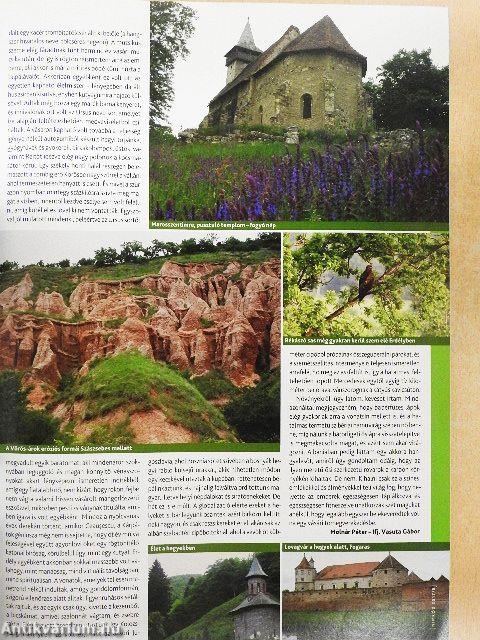 Nimród 2017. (nem teljes évfolyam)