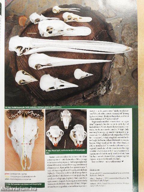 Nimród 2017. (nem teljes évfolyam)