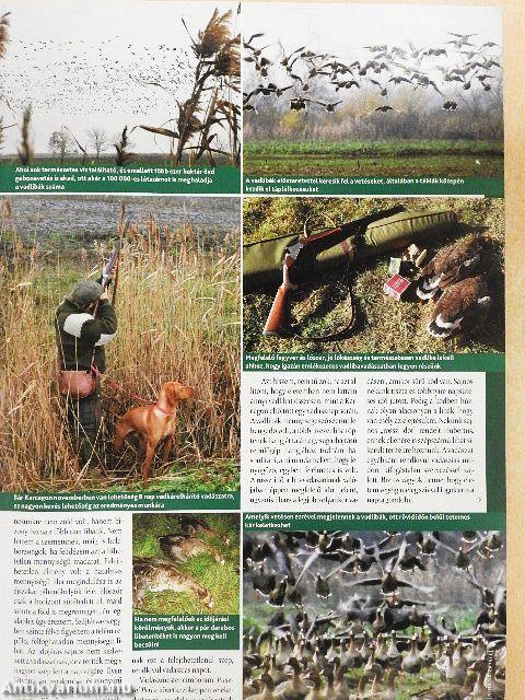 Nimród 2016. (nem teljes évfolyam)