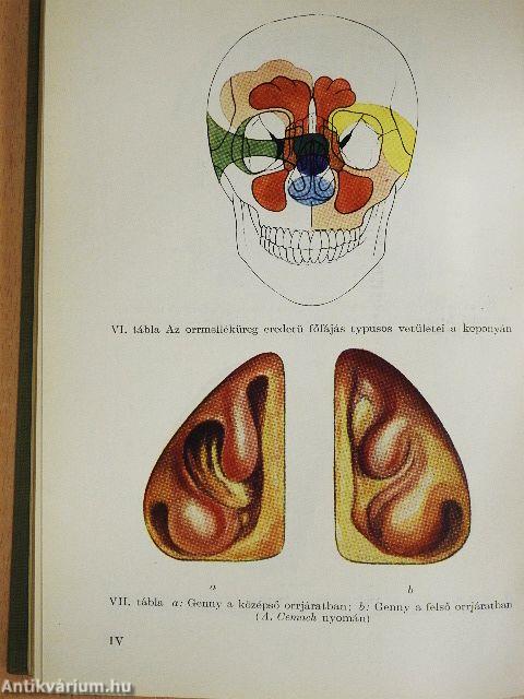 A felső légutak betegségei