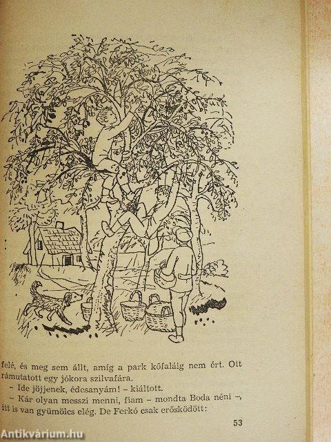 Puskák és galambok