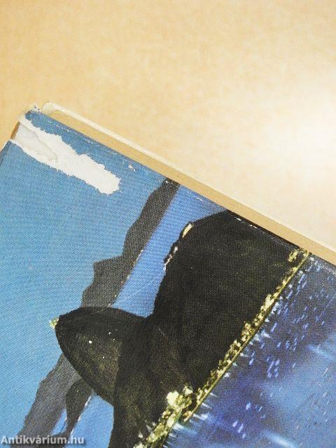 És vándorbotot vettem a kezembe...