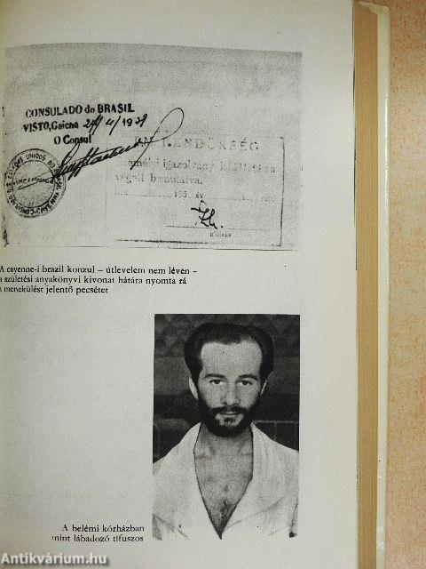 És vándorbotot vettem a kezembe...