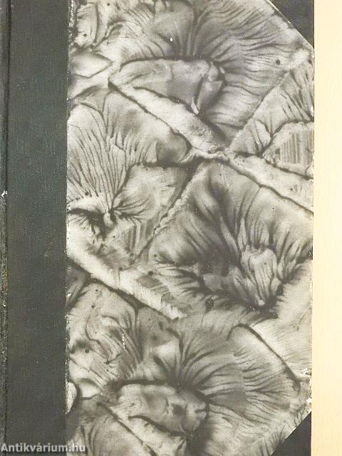 Handbuch der katholischen Aktion (gótbetűs)