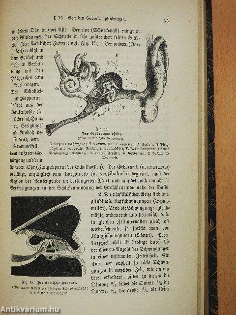 Psychologie (gótbetűs)