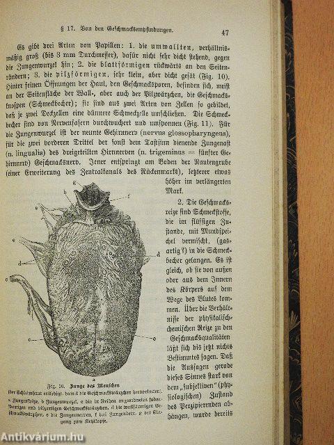 Psychologie (gótbetűs)