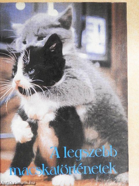 A legszebb macskatörténetek