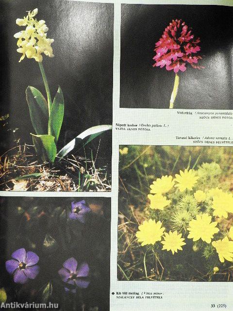 Nimród 1988. január-december