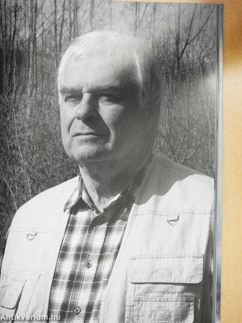 Kézfogások szétszóródás után